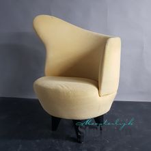Design fauteuil Van Zoetendaal